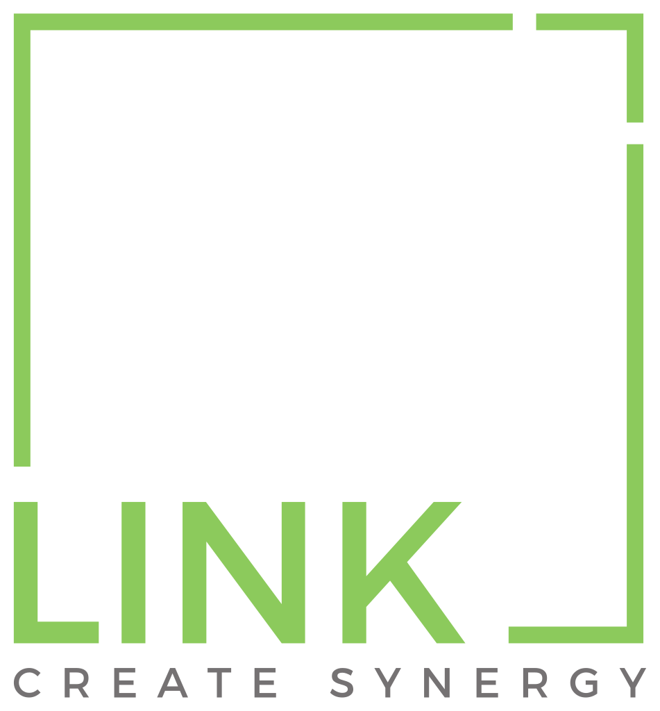 Link Srl